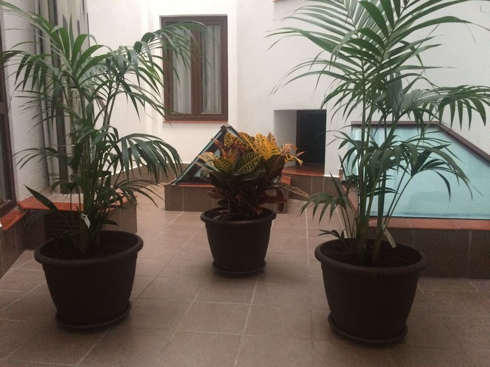 Hotell Castilla Guerrero
