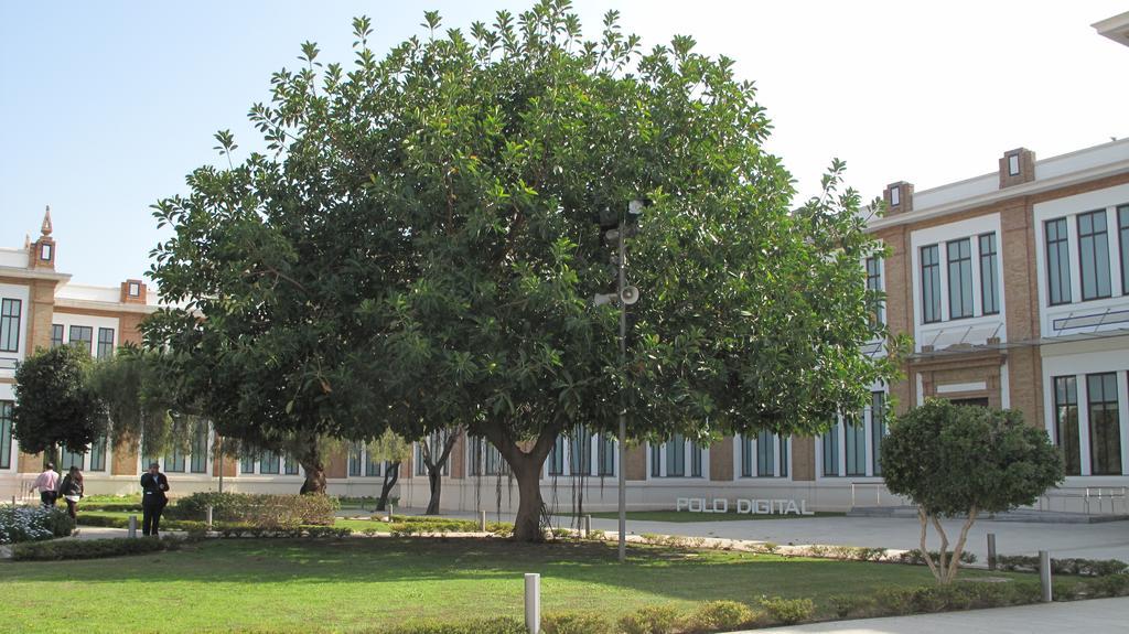 Amadeo Vives 3 Lägenhet Málaga