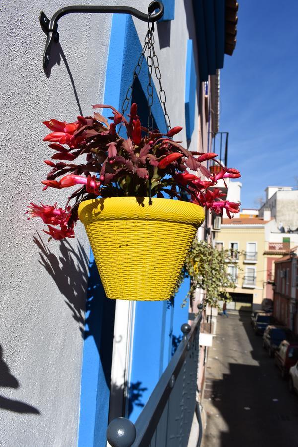 Casa Al Sur * Malaga