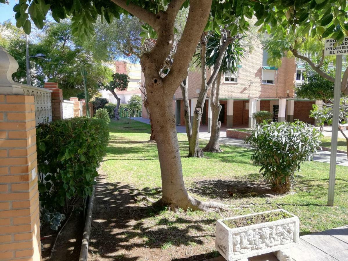 Aurora Málaga