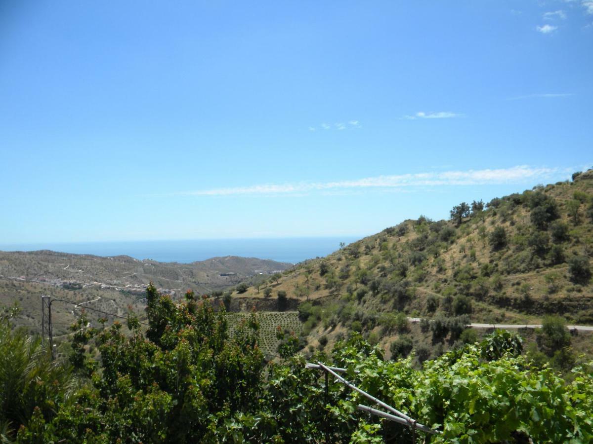 Moclinejo House Holiday home Malaga
