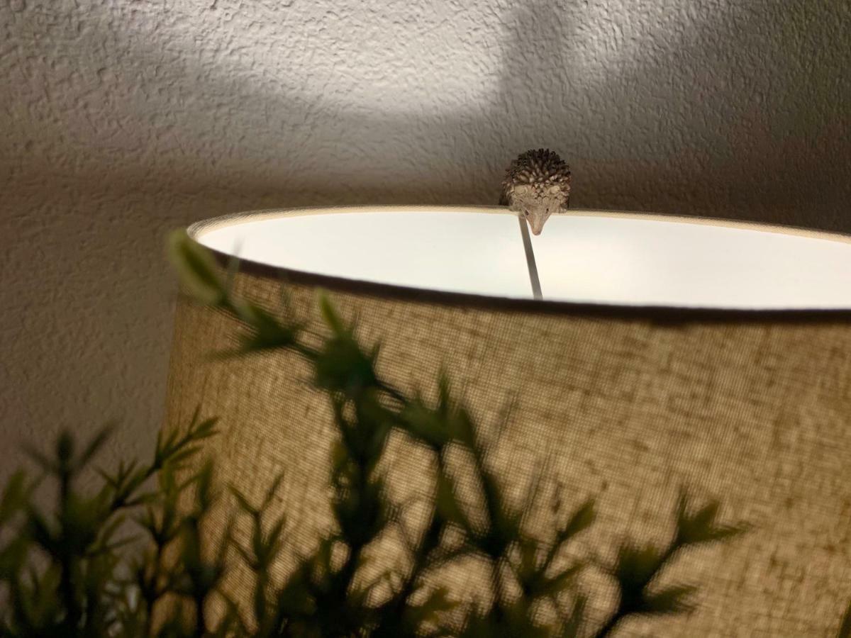 Luz Y Sencillez En El Centro Historico De Apartamento