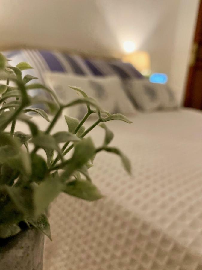 Apartamento Luz Y Sencillez En El Centro Historico De Málaga