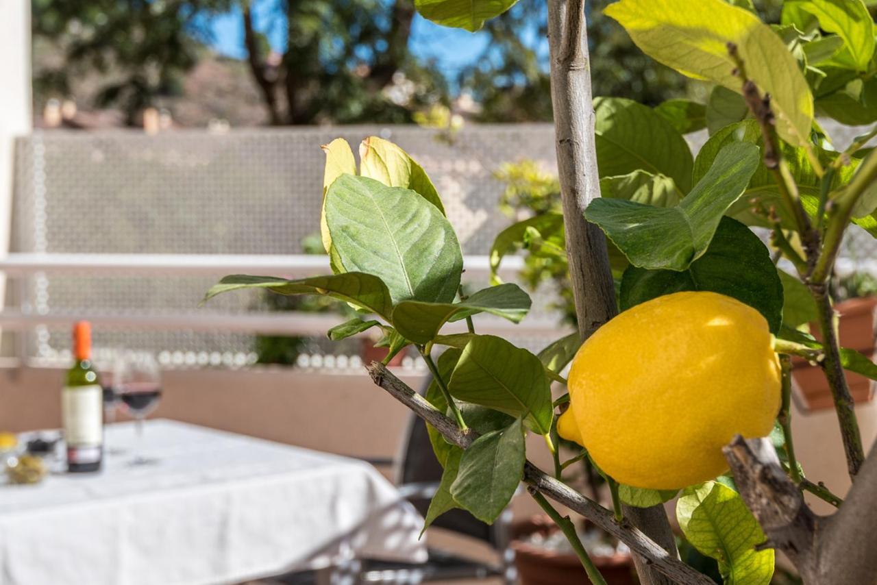 Casa Limonar Apartamento Málaga